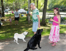 your pets are welcome at circle cg farm campground in bellingham ma